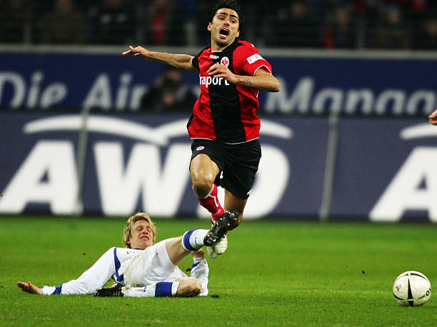 不可忽视的 不可忽视的